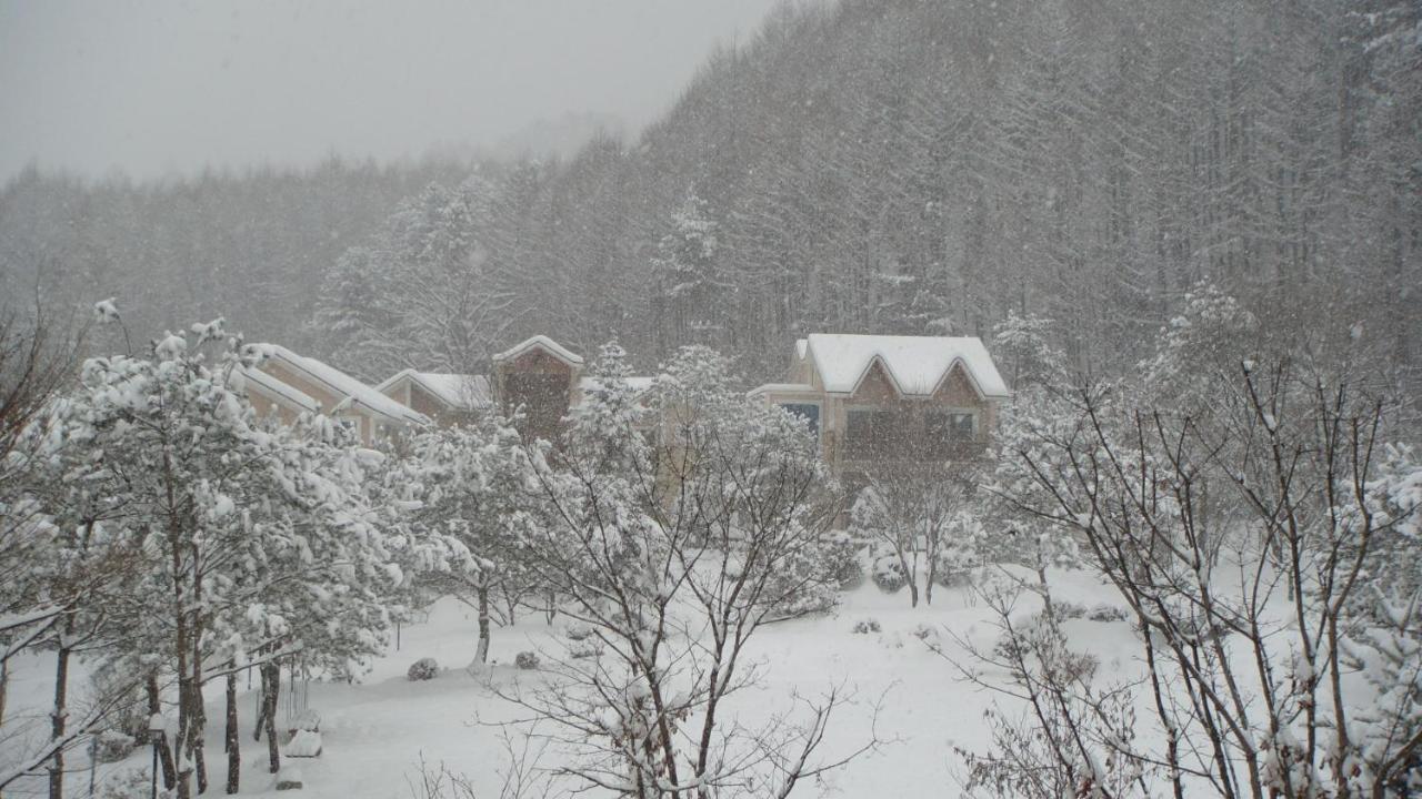 Shinevalley Pension & Hotel Pyeongchang Exterior foto