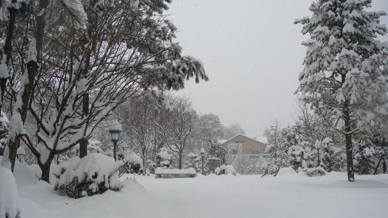 Shinevalley Pension & Hotel Pyeongchang Exterior foto